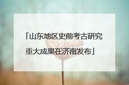 山东地区史前考古研究重大成果在济南发布