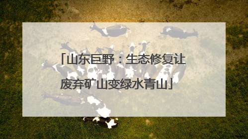 山东巨野：生态修复让废弃矿山变绿水青山