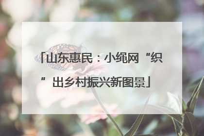 山东惠民：小绳网“织”出乡村振兴新图景
