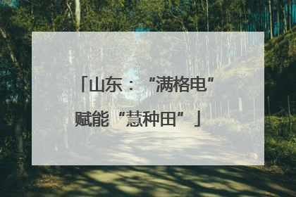 山东：“满格电”赋能“慧种田”