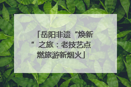 岳阳非遗“焕新”之旅：老技艺点燃旅游新烟火
