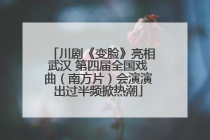 川剧《变脸》亮相武汉 第四届全国戏曲（南方片）会演演出过半频掀热潮