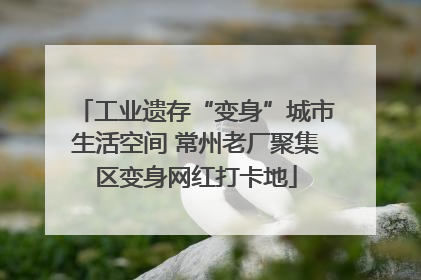 工业遗存“变身”城市生活空间 常州老厂聚集区变身网红打卡地
