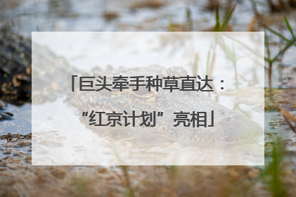巨头牵手种草直达：“红京计划”亮相