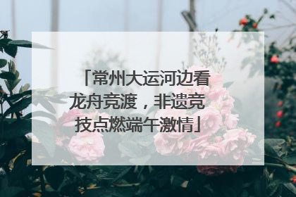 常州大运河边看龙舟竞渡，非遗竞技点燃端午激情