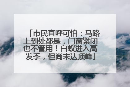 市民直呼可怕：马路上到处都是，门窗紧闭也不管用！白蚁进入高发季，但尚未达顶峰