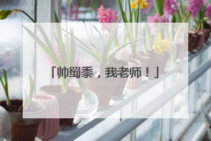 帅蜀黍，我老师！