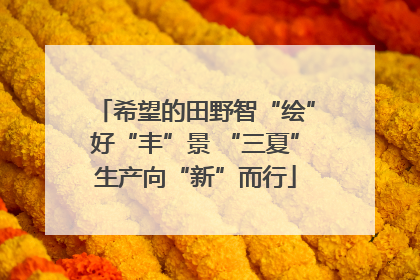 希望的田野智“绘”好“丰”景 “三夏”生产向“新”而行