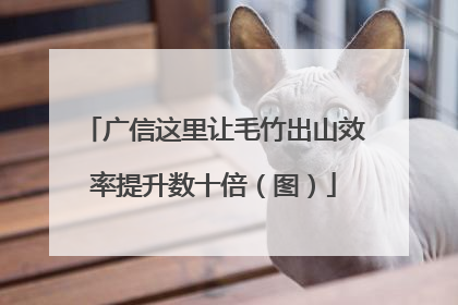 广信这里让毛竹出山效率提升数十倍（图）