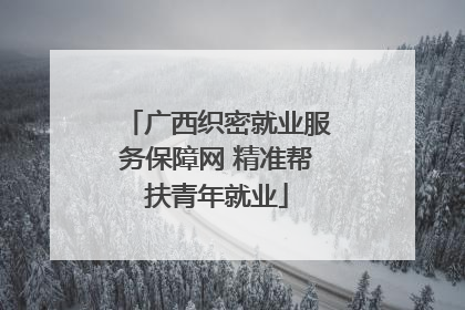 广西织密就业服务保障网 精准帮扶青年就业