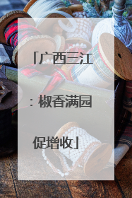 广西三江：椒香满园促增收
