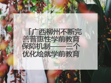 广西柳州不断完善普惠性学前教育保障机制——三个优化绘就学前教育新图景