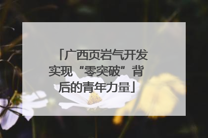 广西页岩气开发实现“零突破”背后的青年力量