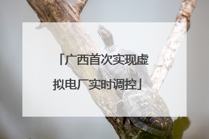 广西首次实现虚拟电厂实时调控