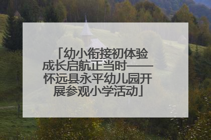幼小衔接初体验 成长启航正当时——怀远县永平幼儿园开展参观小学活动
