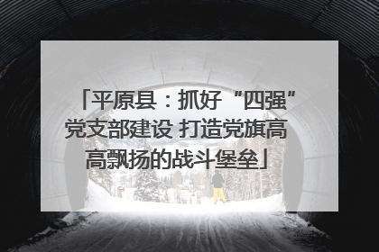 平原县：抓好“四强”党支部建设 打造党旗高高飘扬的战斗堡垒