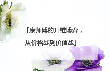 康师傅的升维博弈，从价格战到价值战