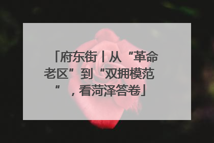 府东街丨从“革命老区”到“双拥模范”，看菏泽答卷