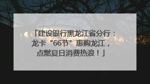 建设银行黑龙江省分行：龙卡“66节”惠购龙江，点燃夏日消费热浪！