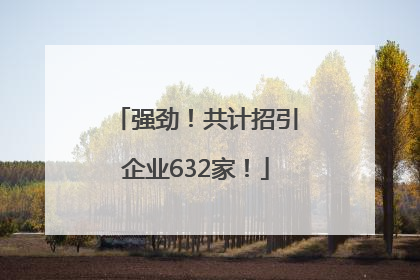 强劲！共计招引企业632家！