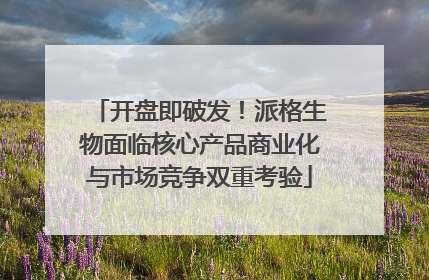 开盘即破发！派格生物面临核心产品商业化与市场竞争双重考验