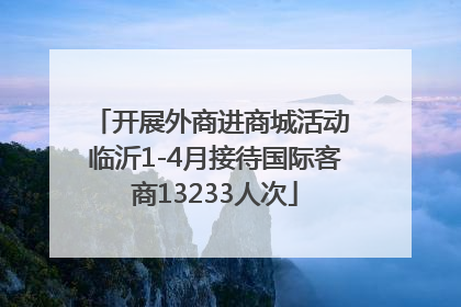 开展外商进商城活动 临沂1-4月接待国际客商13233人次