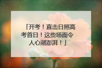 开考！直击日照高考首日！这些场面令人心潮澎湃！