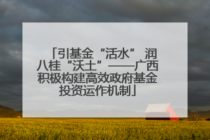 引基金“活水” 润八桂“沃土”——广西积极构建高效政府基金投资运作机制