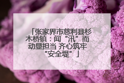 张家界市慈利县杉木桥镇：闻“汛”而动显担当 齐心筑牢“安全堤”