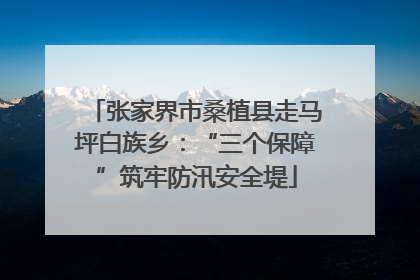张家界市桑植县走马坪白族乡：“三个保障”筑牢防汛安全堤