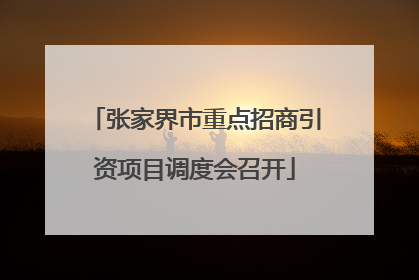 张家界市重点招商引资项目调度会召开