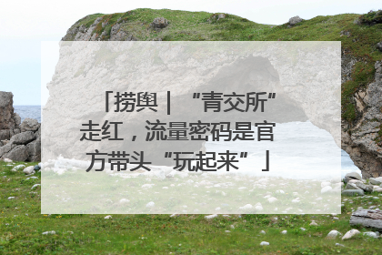 捞舆｜“青交所”走红，流量密码是官方带头“玩起来”