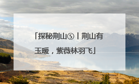 探秘荆山⑤丨荆山有玉暖，紫薇林羽飞