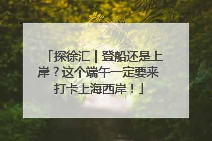 探徐汇｜登船还是上岸？这个端午一定要来打卡上海西岸！