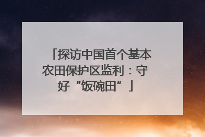 探访中国首个基本农田保护区监利：守好“饭碗田”
