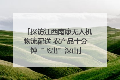 探访江西南康无人机物流配送 农产品十分钟“飞出”深山