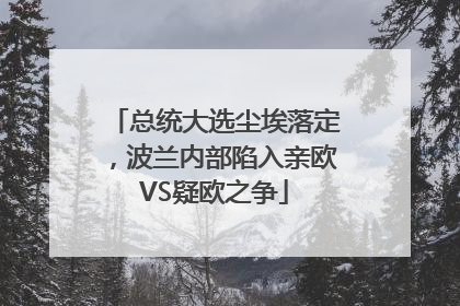 总统大选尘埃落定，波兰内部陷入亲欧VS疑欧之争