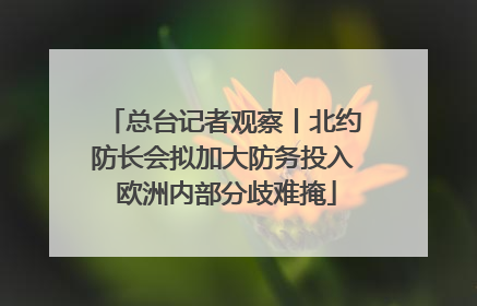总台记者观察丨北约防长会拟加大防务投入 欧洲内部分歧难掩