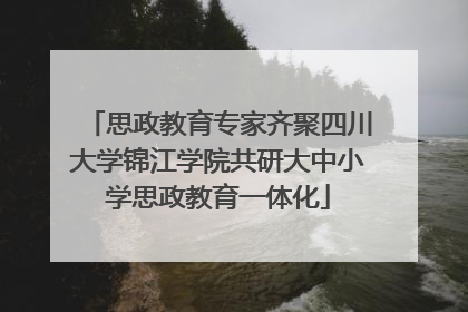 思政教育专家齐聚四川大学锦江学院共研大中小学思政教育一体化
