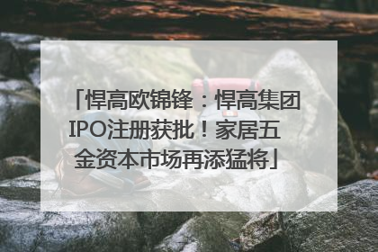 悍高欧锦锋：悍高集团IPO注册获批！家居五金资本市场再添猛将