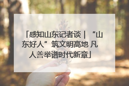 感知山东记者谈｜“山东好人”筑文明高地 凡人善举谱时代新章