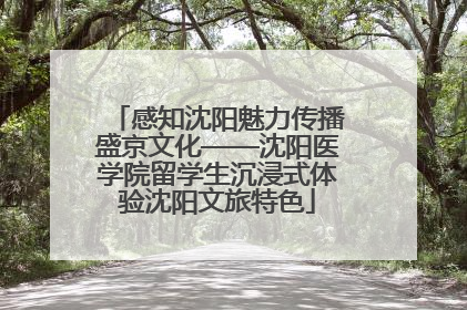 感知沈阳魅力传播盛京文化——沈阳医学院留学生沉浸式体验沈阳文旅特色