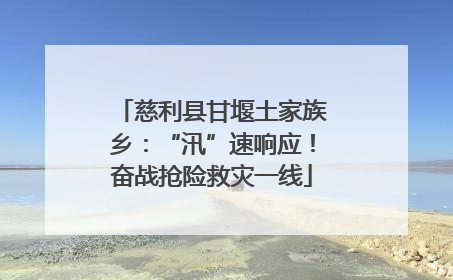 慈利县甘堰土家族乡：“汛”速响应！奋战抢险救灾一线