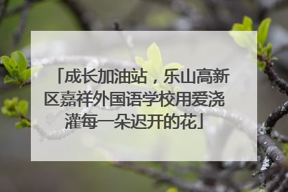 成长加油站，乐山高新区嘉祥外国语学校用爱浇灌每一朵迟开的花