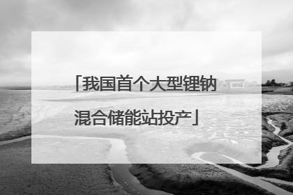 我国首个大型锂钠混合储能站投产