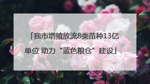 我市增殖放流8类苗种13亿单位 助力“蓝色粮仓”建设