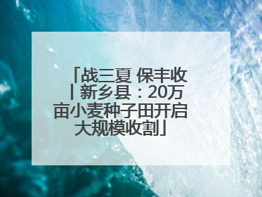 战三夏 保丰收丨新乡县：20万亩小麦种子田开启大规模收割