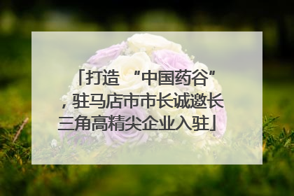 打造 “中国药谷”，驻马店市市长诚邀长三角高精尖企业入驻