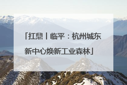 扛鼎丨临平：杭州城东新中心焕新工业森林