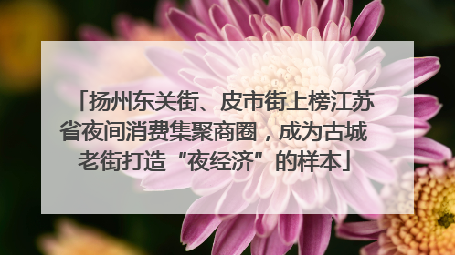 扬州东关街、皮市街上榜江苏省夜间消费集聚商圈，成为古城老街打造“夜经济”的样本